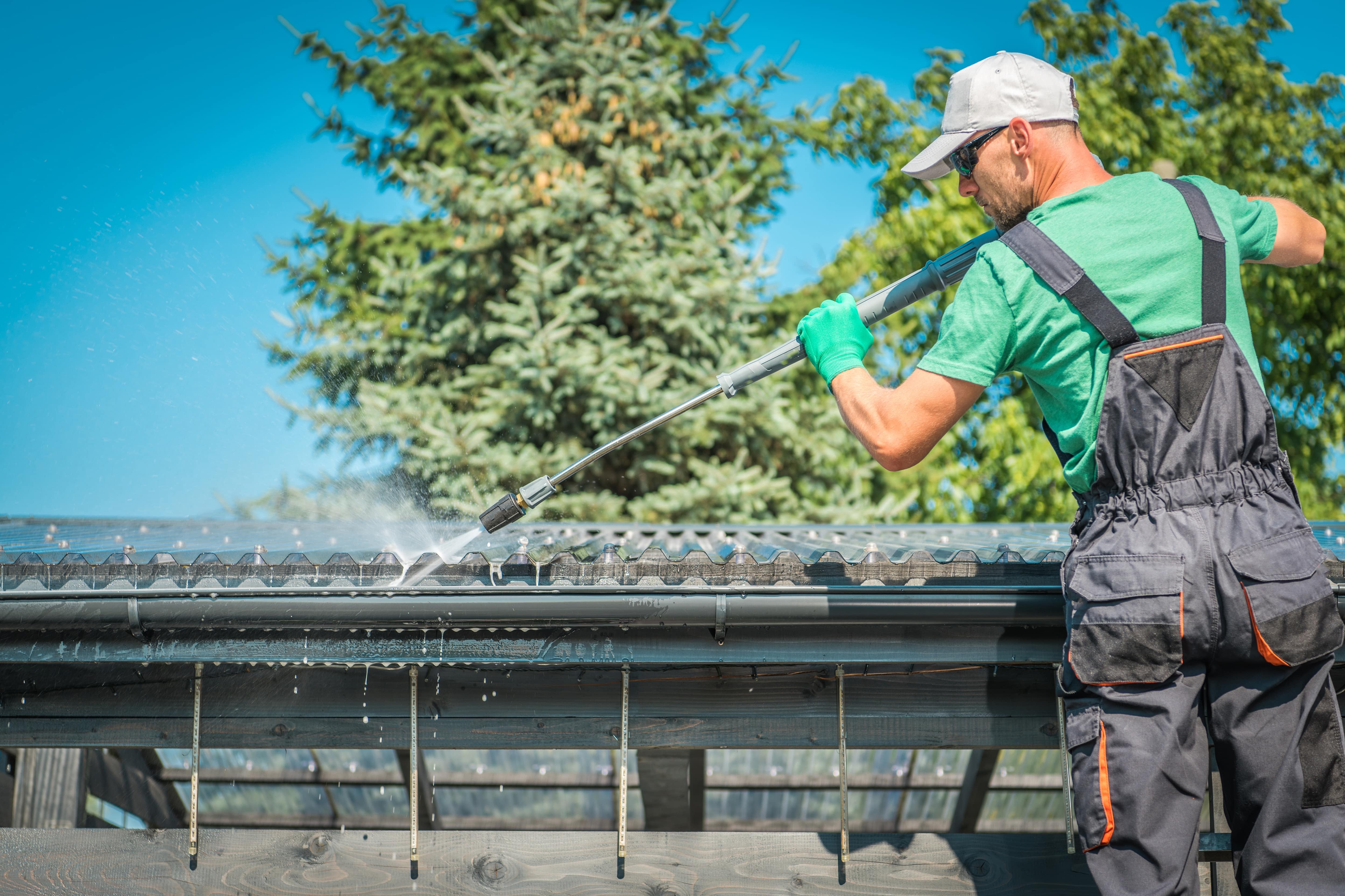 Professional Roof Cleaning Services